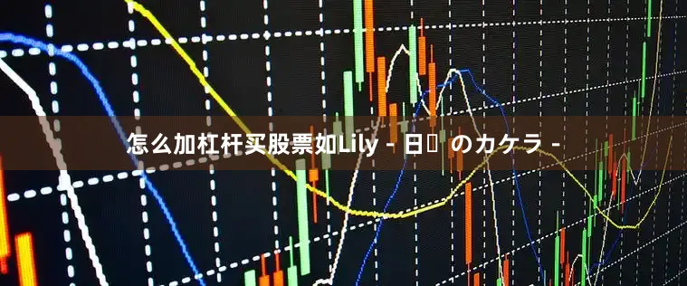 怎么加杠杆买股票如Lily－日々のカケラ－
