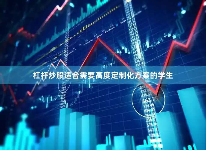 杠杆炒股适合需要高度定制化方案的学生