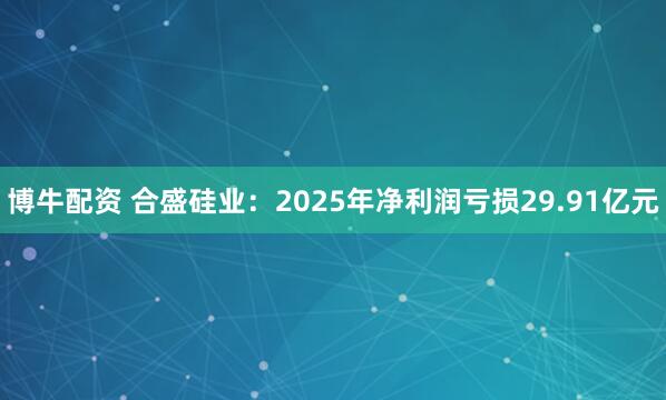博牛配资 合盛硅业：2025年净利润亏损29.91亿元