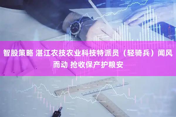 智股策略 湛江农技农业科技特派员（轻骑兵）闻风而动 抢收保产护粮安